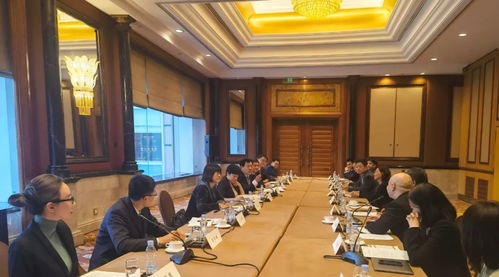 盧國(guó)懿出席致公黨中央與僑海人士座談會(huì)