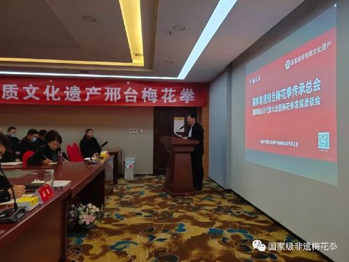 邢臺(tái)梅花拳發(fā)展懇談會(huì) 傳承武術(shù)文化，共謀發(fā)展新篇