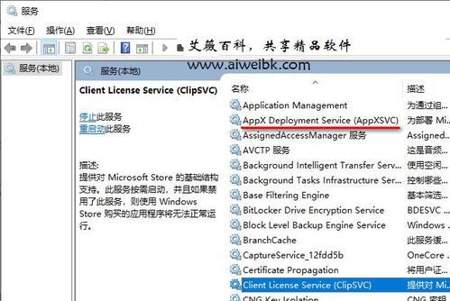 組件服務(wù)計算機卡死？解析wsappx進程占用系統(tǒng)資源過多導致電腦卡死的解決方法